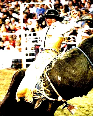 PBR - Professional Bull Riders Pittsburgh